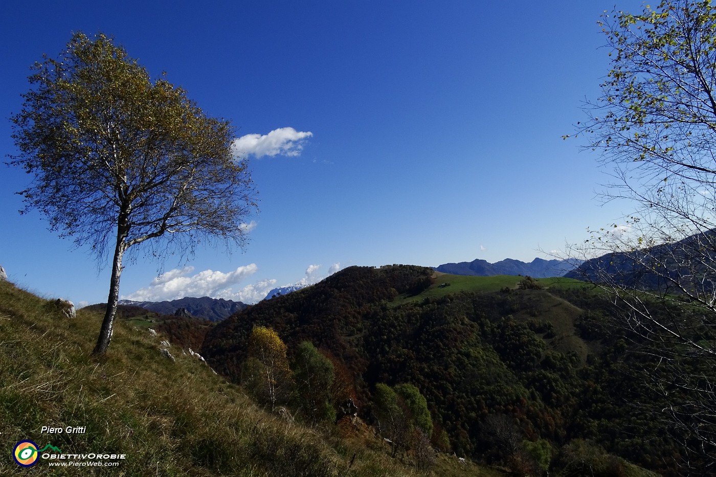 29 Verso Prato Giugno.JPG